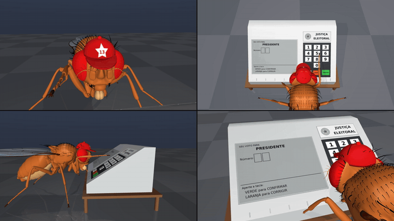 The simulated fly pressing 1, 3 and CONFIRMA on the ballot box
